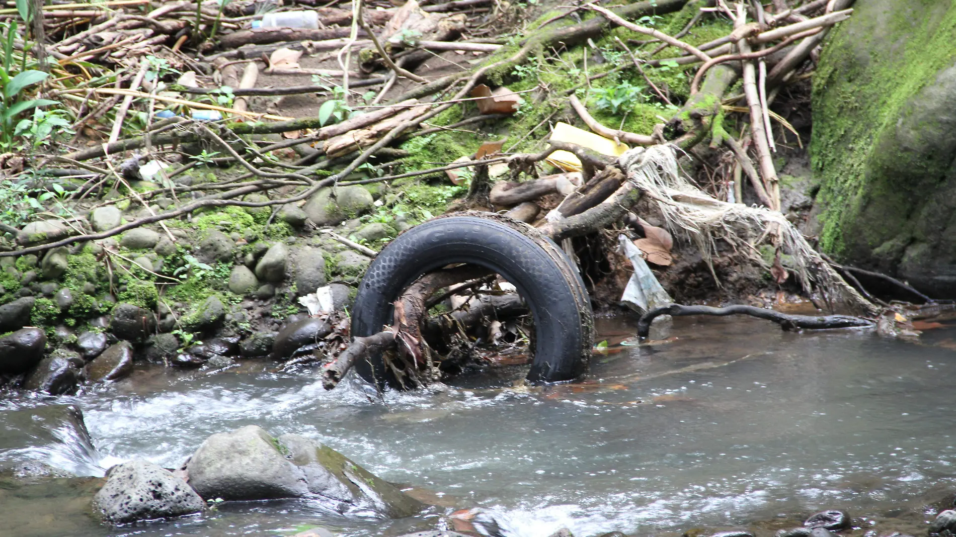 Contaminación en el río Sedeño